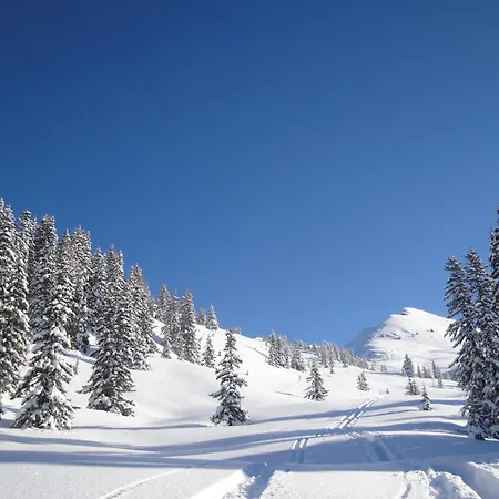 Mountain Moments Zillertal