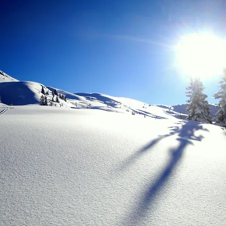 Lejlighed Mountain Moments Zillertal